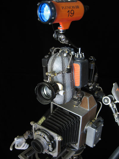 pj-19